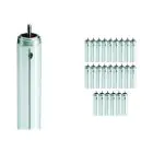 Confezione Multipack 25x Philips TL - X XL 40W - 640 Bianco Freddo | 120cm