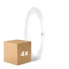 Confezione Multipack 4x Osram Tubo LED T9 Circolare (EM/Mains) 18.3W 2200lm - 840 Bianco Freddo | Sostitutiva 32W
